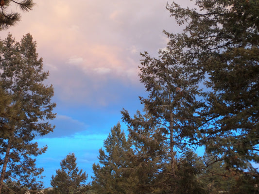 Why Professionals Buy Our Rings