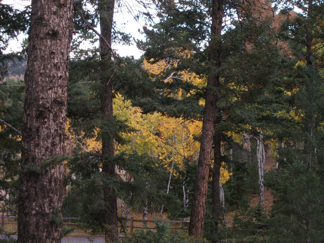 Minding Your Business