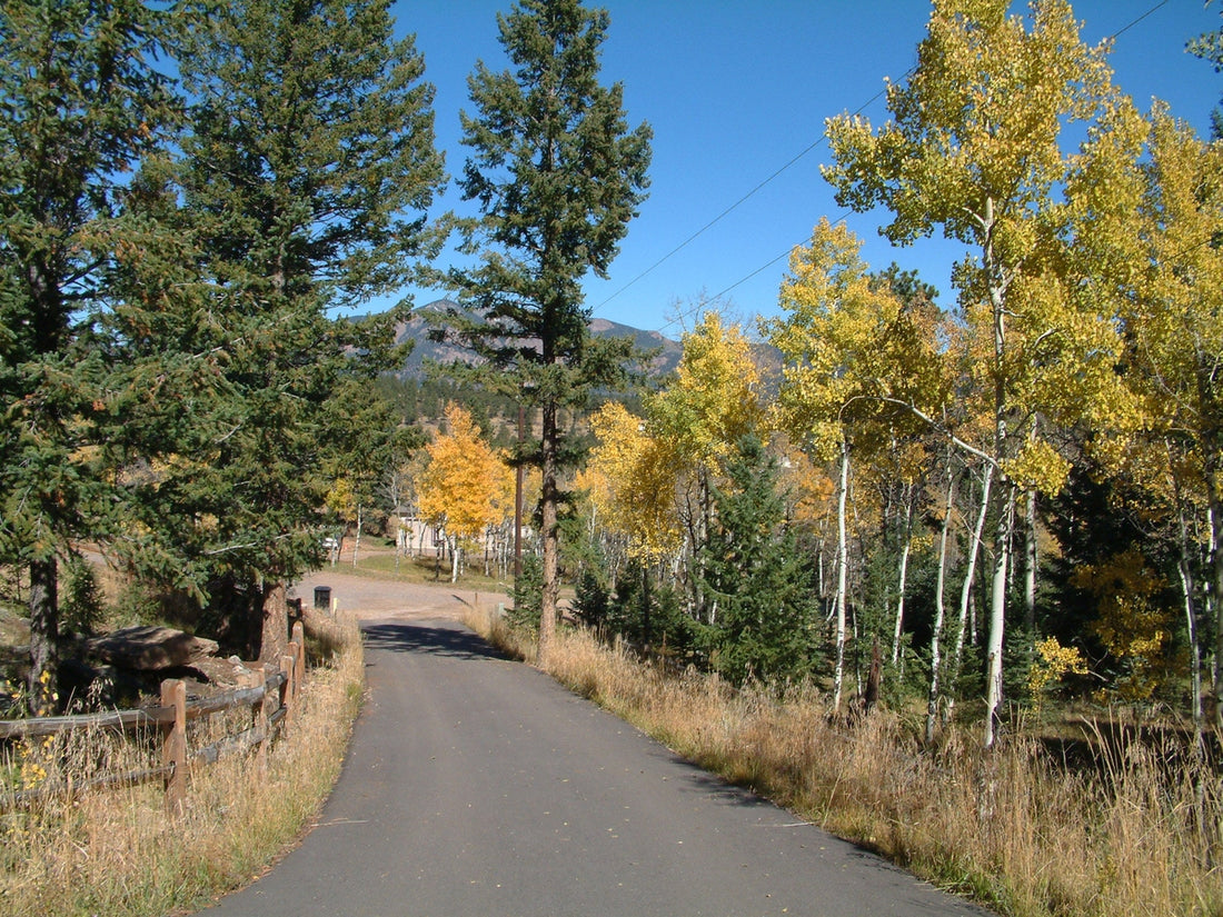 Good Results Aren't Born of Bad Intentions