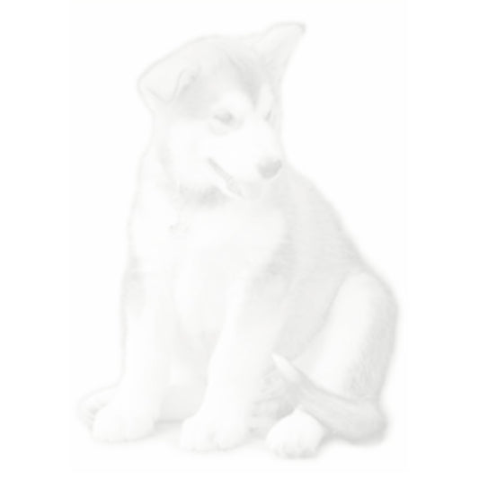 1-in-1 Chain Half Round